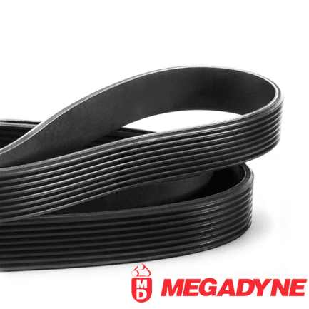 Curea poly-v PJ 1016/16 CAN Megadyne - imagine 4